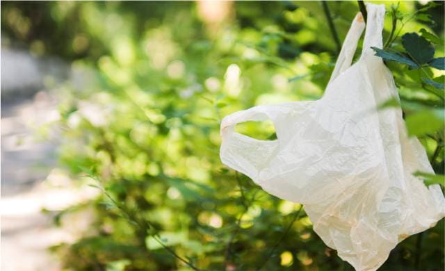 O Que São Produtos Biodegradáveis? Descubra Aqui!
